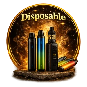 Disposable Cyber Case 30000 Puffs Cartridge Price in BD